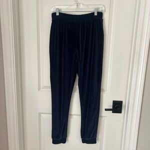 Outerknown Ronan Velour Blue Crew Jogger Sweatpants Women’s Sz S Athleisure
